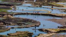 Imagen de El Camino de la Costa: de Viedma a Bahía Creek, un viaje inolvidable