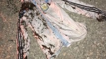 Imagen de Denuncian el ataque de encapuchados frente a una ocupación mapuche