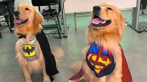 Imagen de En las mejores «patas»: los animales que ayudan