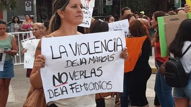 Río Negro comenzó a sistematizar los datos de violencia hacia las mujeres. (Foto: archivo)