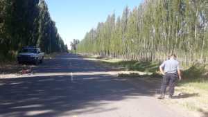 Una motociclista chocó a una mujer que iba en bici y se dio a la fuga