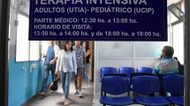 Imagen de En Neuquén hay un promedio de dos casos anuales de hantavirus