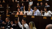 Imagen de Por sus dichos sobre la deuda, el MPN mandó a la senadora Sapag a «que se informe»