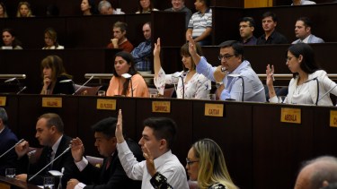 Por sus dichos sobre la deuda, el MPN mandó a la senadora Sapag a «que se informe»