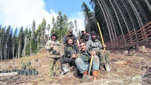 De Isla Victoria a los bosques de Australia