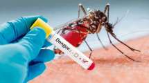 Imagen de Fuerte suba de los casos de dengue: hay más de 25 mil a nivel nacional