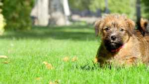 Pronóstico: viernes soleado y con temperaturas agradables