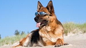 Pronóstico: el finde empieza con buena temperatura