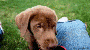 Pronóstico: el viernes llega soleado y fresco a la región