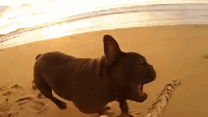 Pronóstico: se viene un miércoles soleado y caluroso en la región