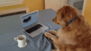 Pronóstico: así empieza a despedirse febrero en la región