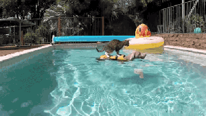 Pronóstico: así empieza la semana en la región