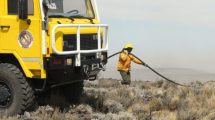 Imagen de Incendio: 3 mil hectáreas afectadas en cercanías de Piedra del Águila
