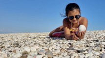 Imagen de La Conchilla: el hit playero del verano a 65 km de Las Grutas