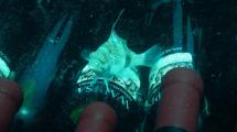 Imagen de Las Grutas estrena cava submarina, de la mano de bodegas Tapiz y Cota Cero Buceo