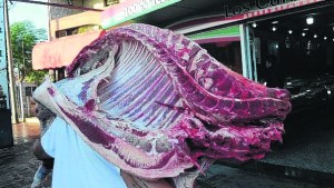 Los frigoríficos deberán cambiar la operatoria para trasladar la carne