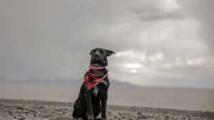 Pronóstico: ¿Cómo estará el feriado en la región?