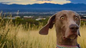 Pronóstico: martes nublado, pero con temperaturas altas