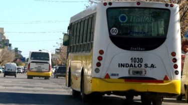 Autobuses es la empresa que realiza los recorridos en Plottier. Foto. archivo 