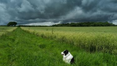 Pronóstico: miércoles nublado, pero con temperatura agradable