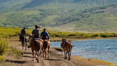 Un grupo de trashumantes que están viajando con sus caballos y burros en la huella de la laguna Vaca Lauquen en el Norte Neuquino. Fotos de Ricardo Kleine Samson.  