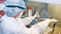 Imagen de El Malbrán analiza 300 muestras diarias y puede triplicarlas