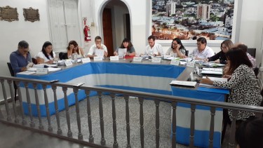 Las próximas sesiones del Deliberante reginense serán a puertas cerradas. (Foto archivo)