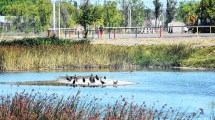 Imagen de Buscan poner en valor la laguna San Lorenzo de Neuquén