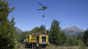 Controlaron dos incendios forestales en la ladera sur del cerro Otto