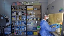 Imagen de Tres jóvenes son los nuevos casos de coronavirus en Neuquén