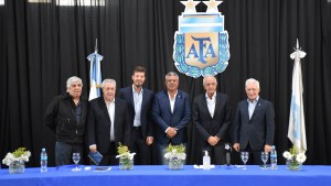 ¿Cómo quedó conformada la AFA?
