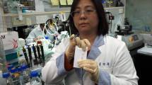 Imagen de Coronavirus: más de 100 personas aisladas en San Antonio Oeste