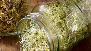 Receta con historia: germinados de Sebastián