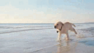 Pronóstico: así estará este jueves en la región