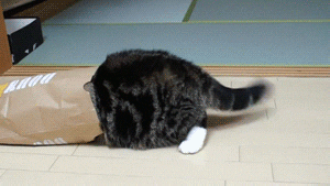 Pronóstico: enterate si este martes sigue el calor en la región