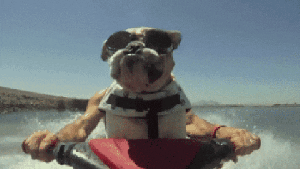 Pronósticos: ¿Cómo sigue la ola de calor este miércoles en la región?