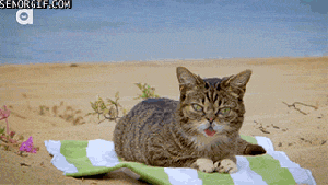 Pronóstico: bajan las máximas, pero sigue el calor en la región