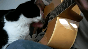 Pronóstico: la semana arranca con tiempo bueno en la región