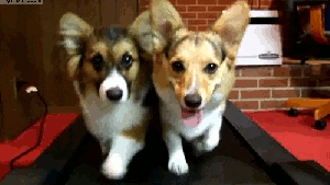 Pronóstico: así estará este miércoles en la región