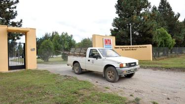 Una funcionaria de Pilcaniyeu involucrada en el robo de ovejas del Inta