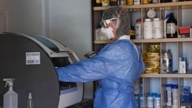 Con 323 casos de coronavirus, la ciudad de Neuquén es la que más registra pacientes que transitan la enfermedad. Foto: Florencia Salto.-