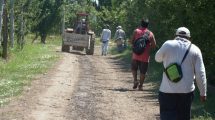 Imagen de Más cerca de un acuerdo con el gremio para levantar la cosecha de frutas