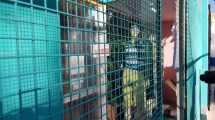 Imagen de En Cutral Co clausuraron comercios por no respetar el aislamiento