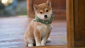 Pronóstico: el miércoles llega fresco a la región