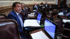 Weretilneck suma comisiones en el Senado: estará en Defensa