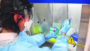 Laboratorio de Roca espera los reactivos para empezar los tests