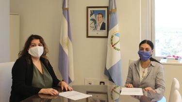 Los insumos fueron entregados a la ministra de Salud de Neuquén, Andrea Peve. 