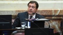 Imagen de Weretilneck: «En la era de la tecnología, sería muy raro no poder sesionar virtualmente»