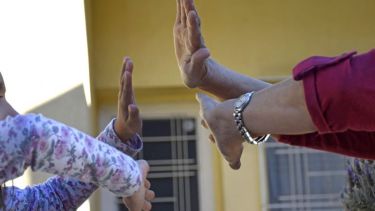 El RUA hace tres llamados anuales para las personas que deseen adoptar: en abril, agosto y diciembre. Foto Florencia Salto.