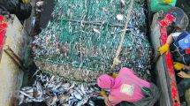 Imagen de Los marineros piden ser vacunados contra el Covid 19